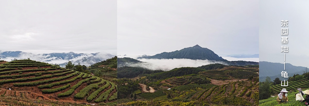 未標(biāo)題-3.jpg 未標(biāo)題-3.jpg